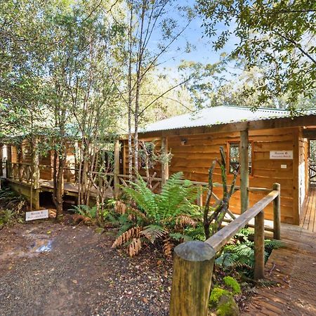Cradle Forest Inn Moina Exterior foto