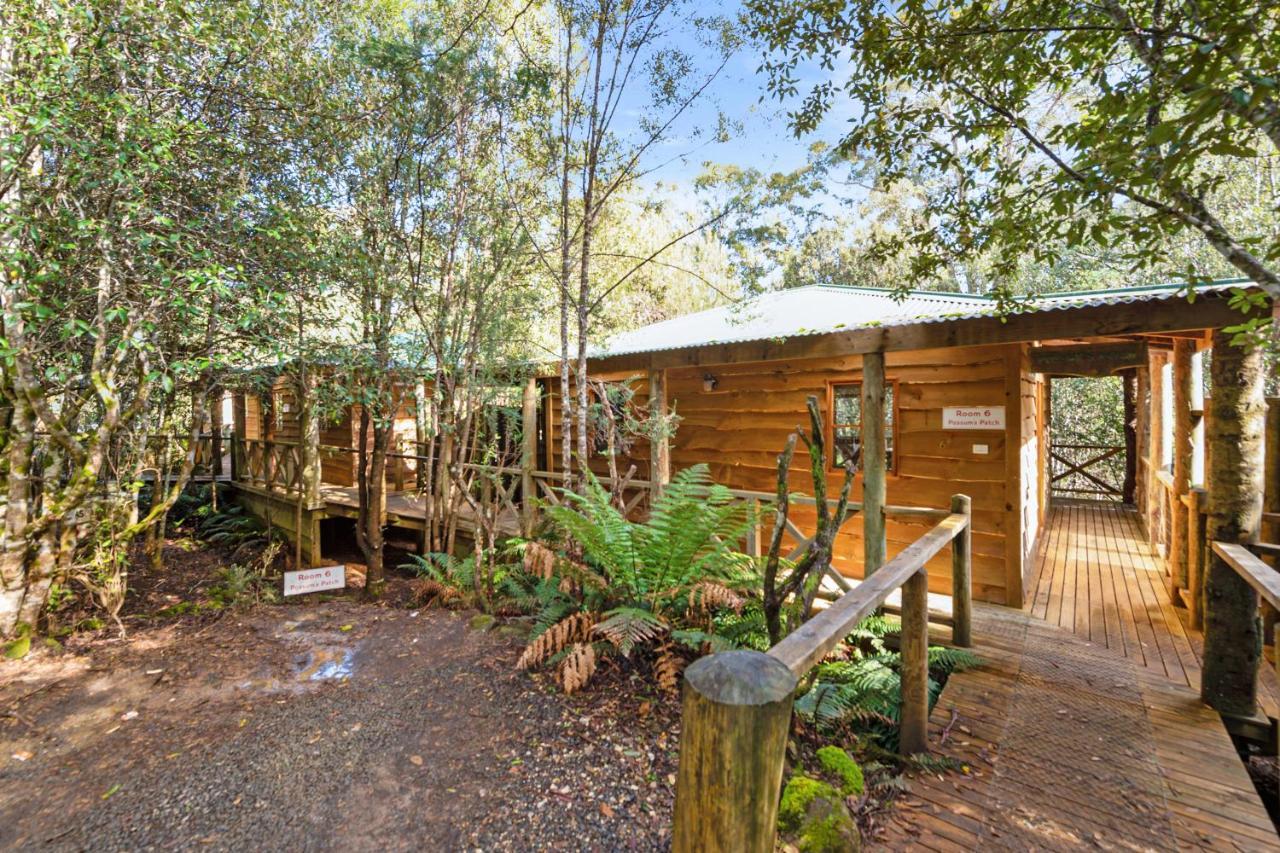 Cradle Forest Inn Moina Exterior foto
