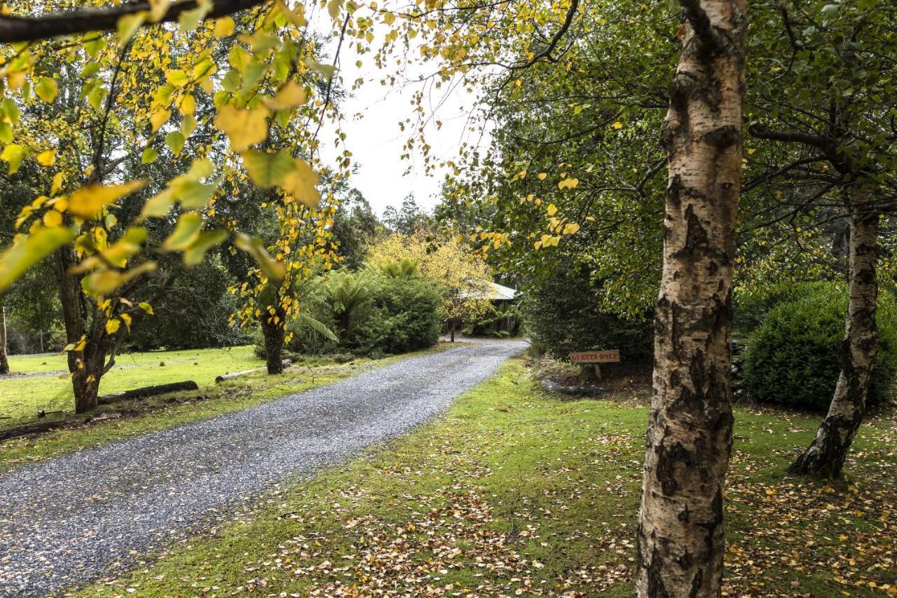 Cradle Forest Inn Moina Exterior foto